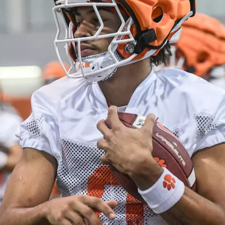 Duke Blue Devils vs Clemson Tigers Forecast, 11/1/2025 College Football Selections, Top Bets & Odds