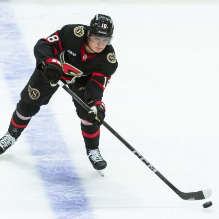 Ottawa Senators vs Florida Panthers Prediction for NHL Picks, Best Bets & Odds on 10/11/2025