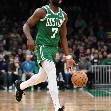 Boston Celtics vs Minnesota Timberwolves Forecast, 11/29/2025 Analysis and Selection