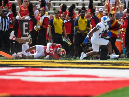 Buffalo Bulls vs Central Michigan Chippewas Forecast, 11/12/2025 College Football Selections, Top Picks & Odds