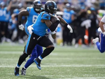 Carolina Panthers vs Atlanta Falcons Preview, 11/16/2025 NFL Predictions, Top Bets & Odds for Week 11