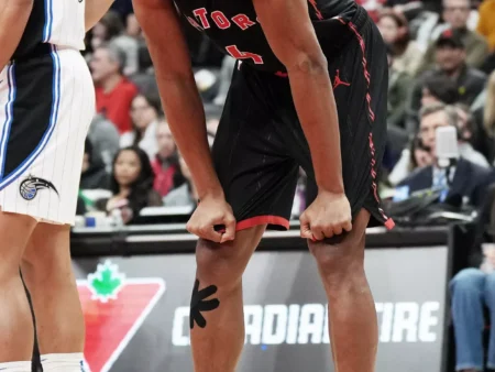 Charlotte Hornets vs Toronto Raptors Forecast, 11/17/2025 Analysis and Selection