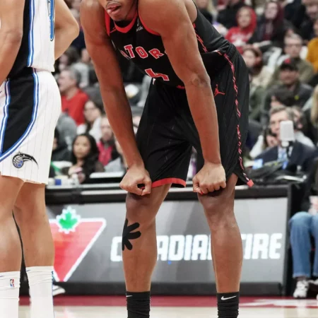 Charlotte Hornets vs Toronto Raptors Forecast, 11/17/2025 Analysis and Selection