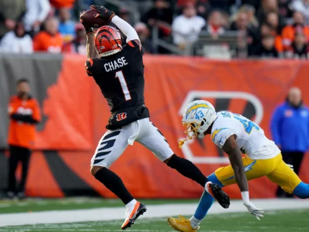 Cincinnati Bengals vs Pittsburgh Steelers Prediction for NFL Week 11 on 11/16/2025: Picks, Best Bets & Odds