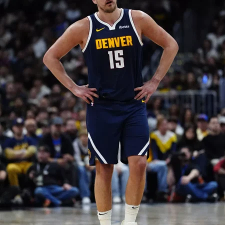 Denver Nuggets vs Minnesota Timberwolves Forecast, 11/15/2025 Analysis and Selection