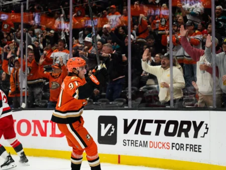 Anaheim Ducks vs Detroit Red Wings Forecast, 11/13/2025 NHL Selections, Top Wagers & Odds