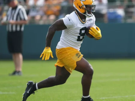 Green Bay Packers vs New York Giants Forecast, 11/16/2025 NFL Selections, Top Bets & Odds Week 11