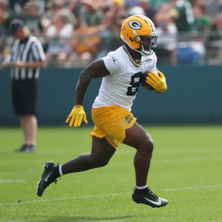 Green Bay Packers vs New York Giants Forecast, 11/16/2025 NFL Selections, Top Bets & Odds Week 11