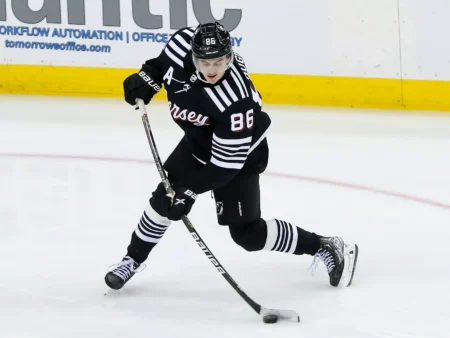 New Jersey Devils vs Anaheim Ducks Forecast, 11/2/2025 NHL Selections, Top Wagers & Odds