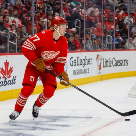 New York Islanders vs Detroit Red Wings Forecast, 11/20/2025 NHL Picks, Top Bets & Odds