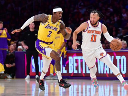 Toronto Raptors and New York Knicks Prediction for 11/30/2025: Preview and Pick