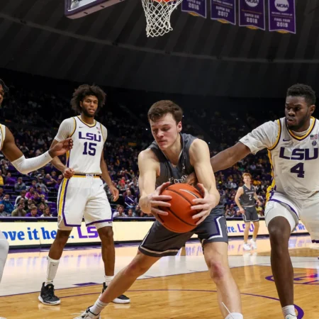 Western Carolina Catamounts vs Lipscomb Bisons Prediction for 11/22/2025 College Basketball: Picks, Best Bets & Odds