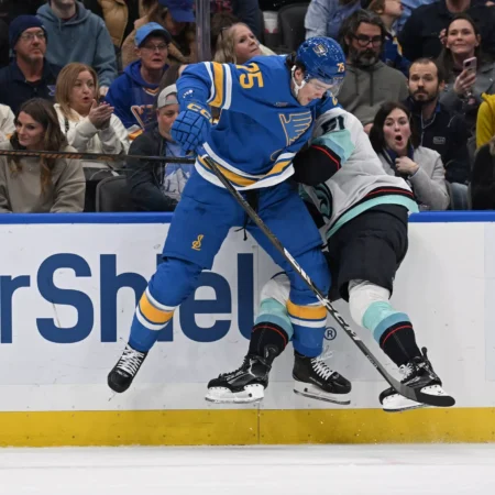 Anaheim Ducks vs St. Louis Blues Forecast, 12/1/2025 NHL Selections, Top Wagers & Odds