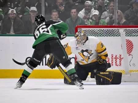 Dallas Stars vs Anaheim Ducks Forecast, 12/19/2025 NHL Predictions, Top Picks & Odds