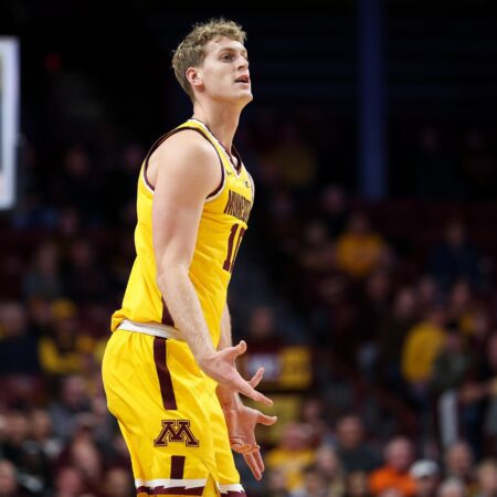 Fairleigh Dickinson Knights vs Minnesota Golden Gophers Odds, Predictions, and Best Bets for College Basketball on 12/29/2025