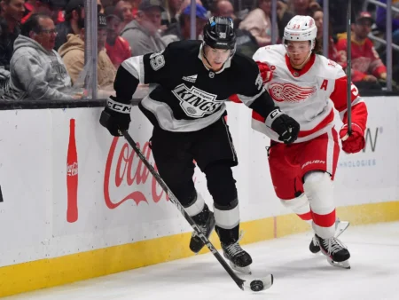 Los Angeles Kings vs Florida Panthers Forecast, 12/17/2025 NHL Selections, Top Wagers & Odds