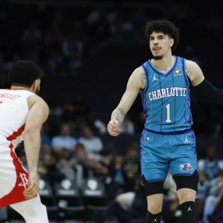 Milwaukee Bucks vs Charlotte Hornets Forecast, 12/29/2025 Analysis and Selection