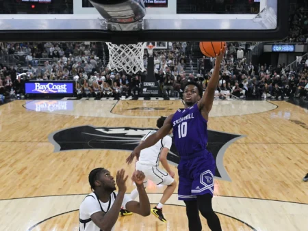 Stonehill Skyhawks vs New Hampshire Wildcats Preview for 12/17/2025 College Basketball Predictions, Picks, Best Bets & Odds