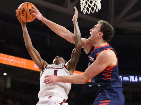 Samford Bulldogs vs Citadel Bulldogs Forecast for 2/19/2026 College Basketball Picks, Best Bets & Odds