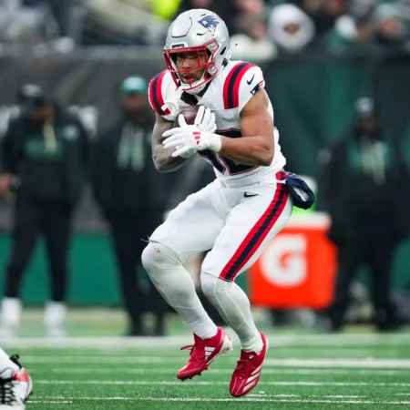 Houston Texans vs New England Patriots Forecast, 1/18/2026 NFL Selections, Top Wagers & Odds