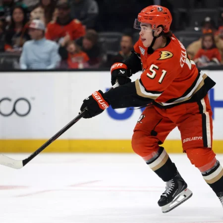 Los Angeles Kings vs Anaheim Ducks Forecast, 1/17/2026 NHL Selections, Top Bets & Odds