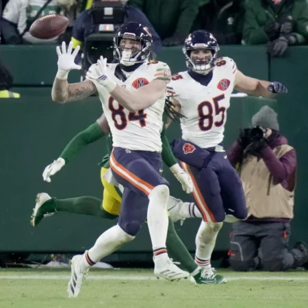 Los Angeles Rams at Chicago Bears Forecast, 1/18/2026 NFL Selections, Top Wagers & Odds