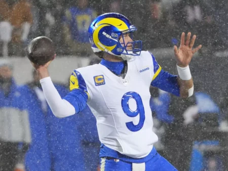 Los Angeles Rams vs Seattle Seahawks Forecast, 1/25/2026 NFL Selections, Top Bets & Odds