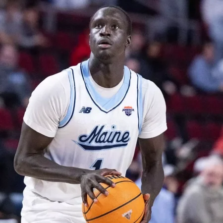 Maine Black Bears vs NJIT Highlanders Prediction for 1/10/2026 College Basketball Picks, Best Bets & Odds