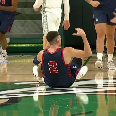 Samford Bulldogs vs Western Carolina Catamounts Preview, 1/31/2026 College Basketball Predictions, Top Picks & Odds