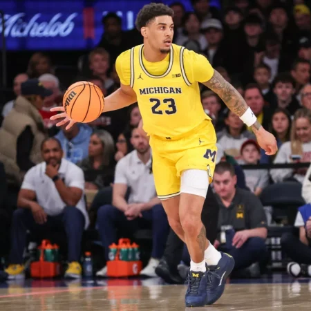 Wisconsin Badgers vs Michigan Wolverines Preview, 3/14/2026 College Basketball Predictions, Top Picks & Odds