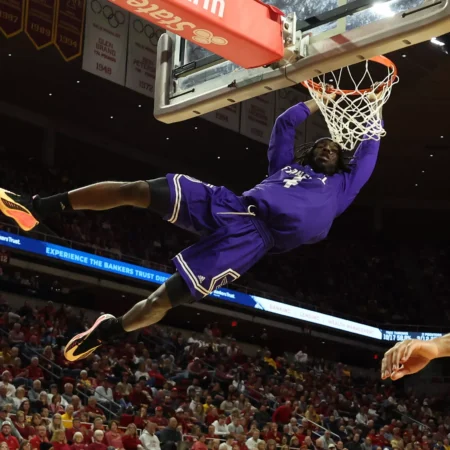 Stonehill Skyhawks vs Chicago State Cougars Forecast, 2/12/2026 College Basketball Selections, Top Bets & Odds