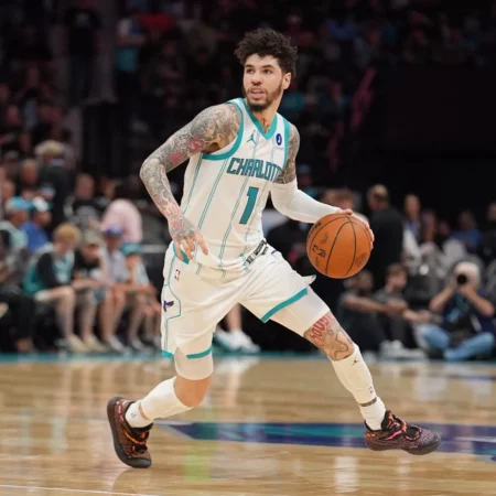 Charlotte Hornets vs Orlando Magic Forecast for 4/17/2026: Analysis and Selection