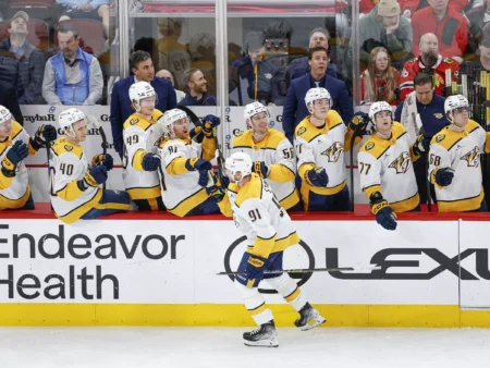 Nashville Predators vs Anaheim Ducks Forecast, 4/7/2026 NHL Picks, Best Bets & Odds