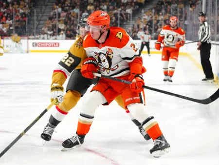 Anaheim Ducks vs Vegas Golden Knights Analysis, 5/6/2026 NHL Picks, Best Bets & Odds