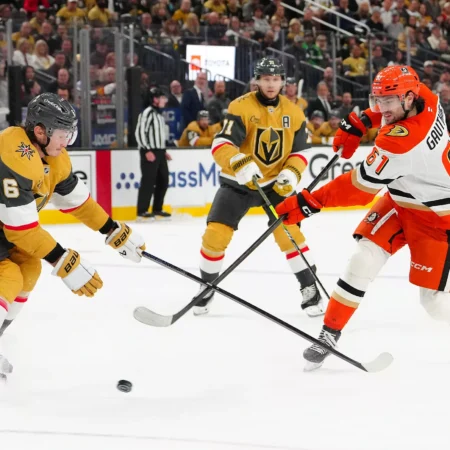 Anaheim Ducks vs Vegas Golden Knights Insights, 5/12/2026 NHL Tips, Betting Options & Odds