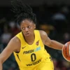 Indiana Fever vs Portland Fire Outlook, 5/30/2026 WNBA Insights, Tips and Odds