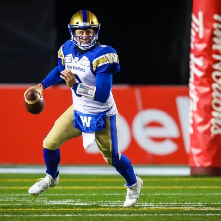 Edmonton Elks vs Winnipeg Blue Bombers Analysis, 6/25/2026 CFL Selection, Insights and Odds