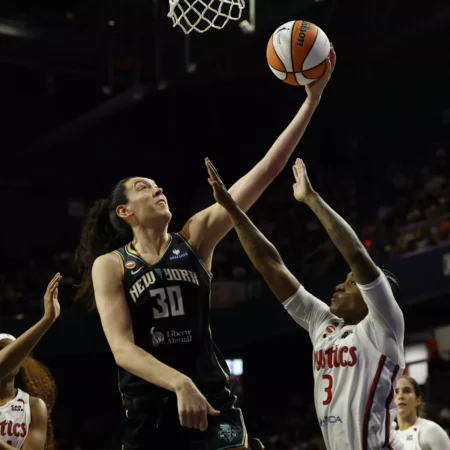 New York Liberty vs Seattle Storm Analysis, 6/25/2026 WNBA Insights, Tips, and Odds