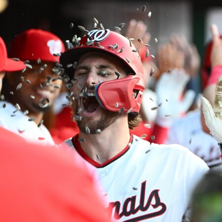 Colorado Rockies vs Washington Nationals Insights, 8/24/2026 MLB Predictions, Top Picks & Odds
