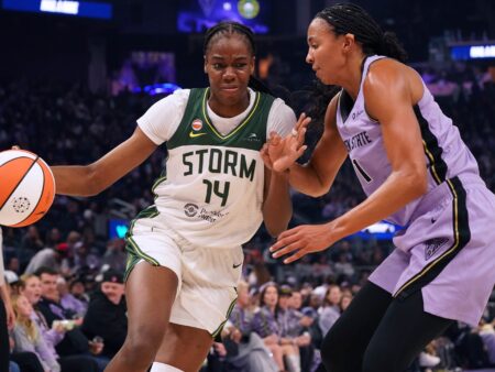 Seattle Storm vs. Dallas Wings Insights, 8/23/2026 WNBA Selection, Tips, and Odds