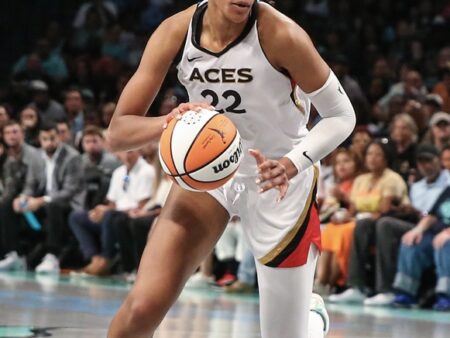 A’ja Wilson WNBA Player Prop Wagers for Today’s Match Against Atlanta Dream on 8/18/2026