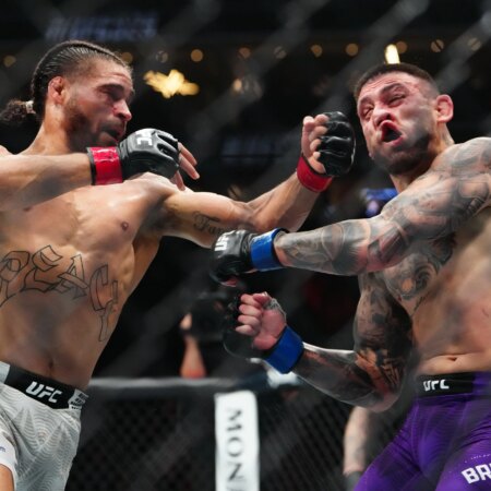 Donte Johnson vs Eric McConico Prediction, 08/15/2026 Insights UFC 330 Odds