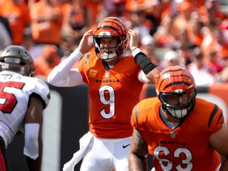 Cincinnati Bengals vs Houston Texans Preview, 9/20/2026 NFL Selections, Top Bets & Odds Week 2