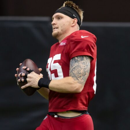 Arizona Cardinals vs. Los Angeles Rams Outlook, 10/18/2026 NFL Selections, Top Wagers & Odds Week 6
