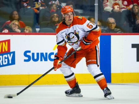 Boston Bruins vs Anaheim Ducks Analysis, 10/16/2026 NHL Insights, Top Picks & Odds