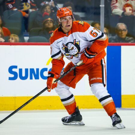 Boston Bruins vs Anaheim Ducks Analysis, 10/16/2026 NHL Insights, Top Picks & Odds