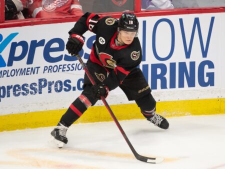 Ottawa Senators vs Los Angeles Kings Preview, 10/29/2026 NHL Picks, Top Bets & Odds