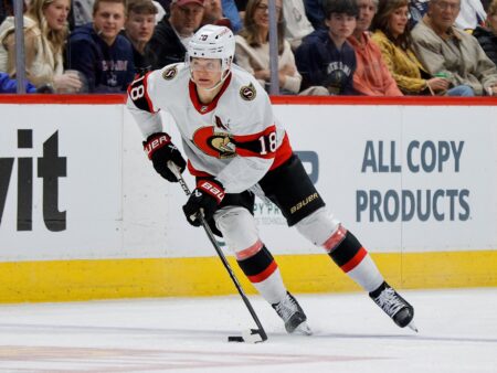 Ottawa Senators vs San Jose Sharks Matchup Analysis, 10/31/2026 NHL Insights, Top Picks & Odds